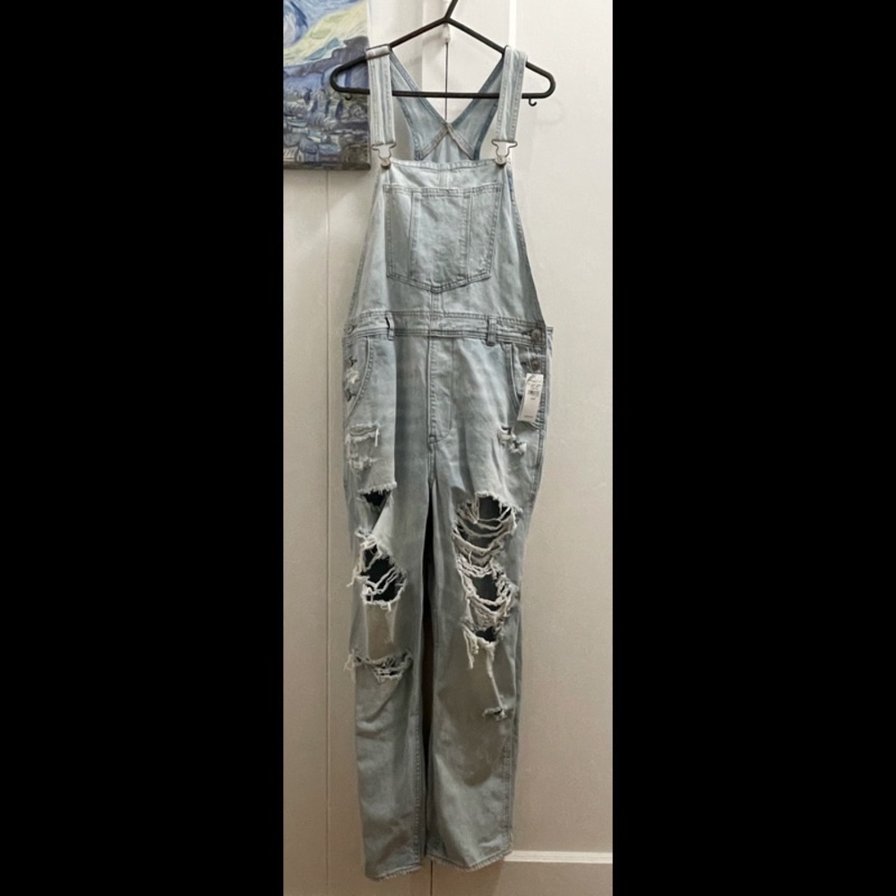 American Eagle Overalls 🦕